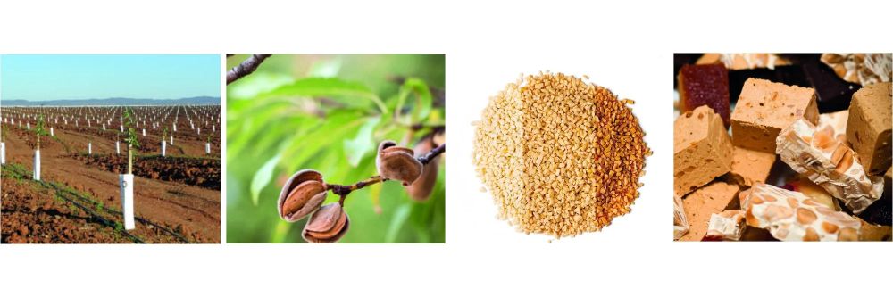 almond process