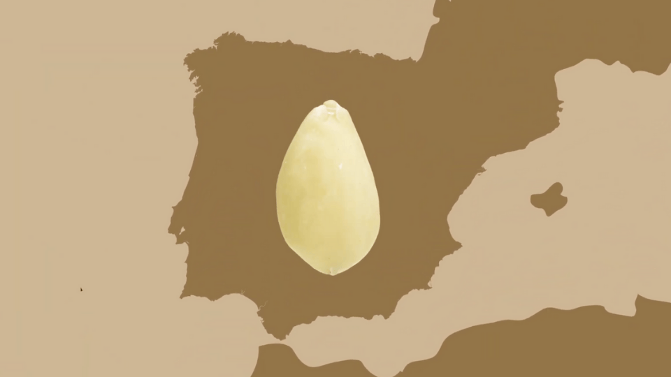 Almendra mediterránea